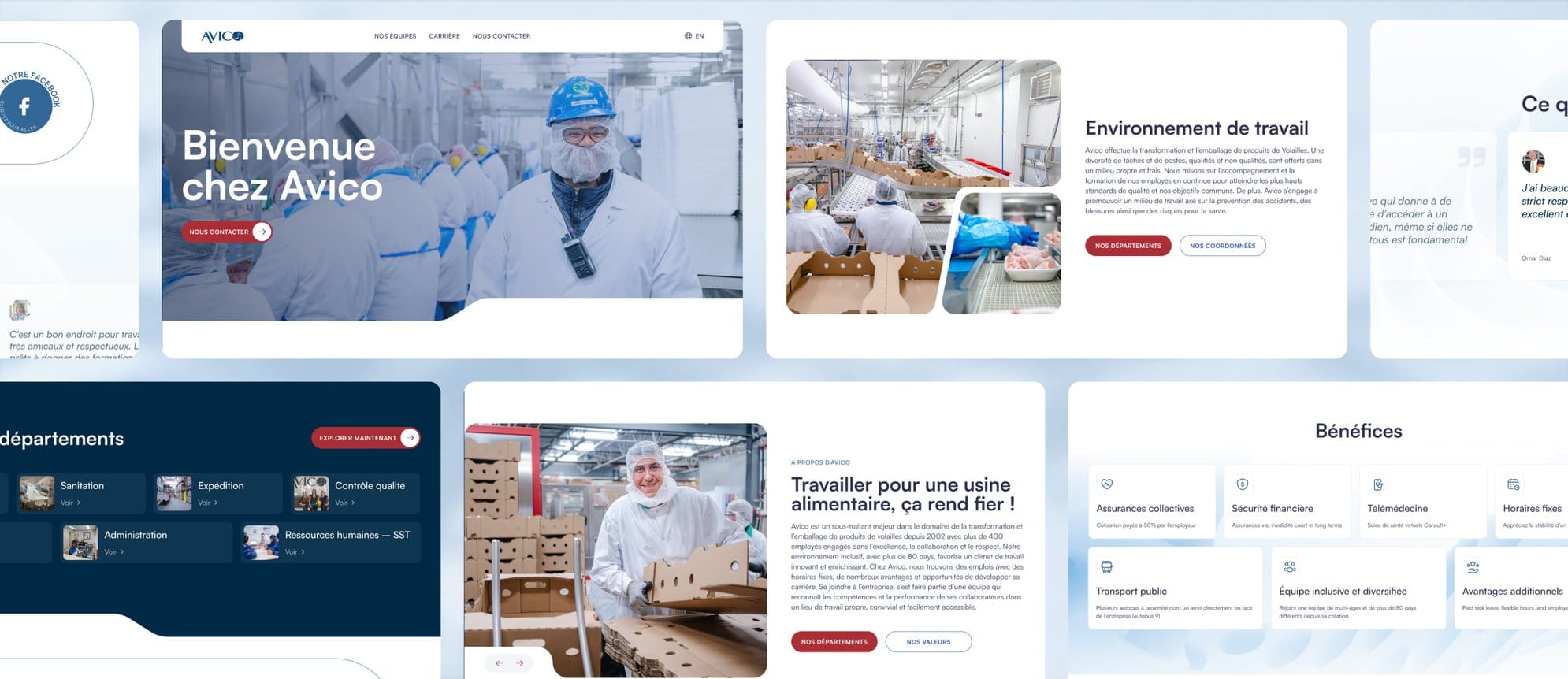 Site web d’Avico