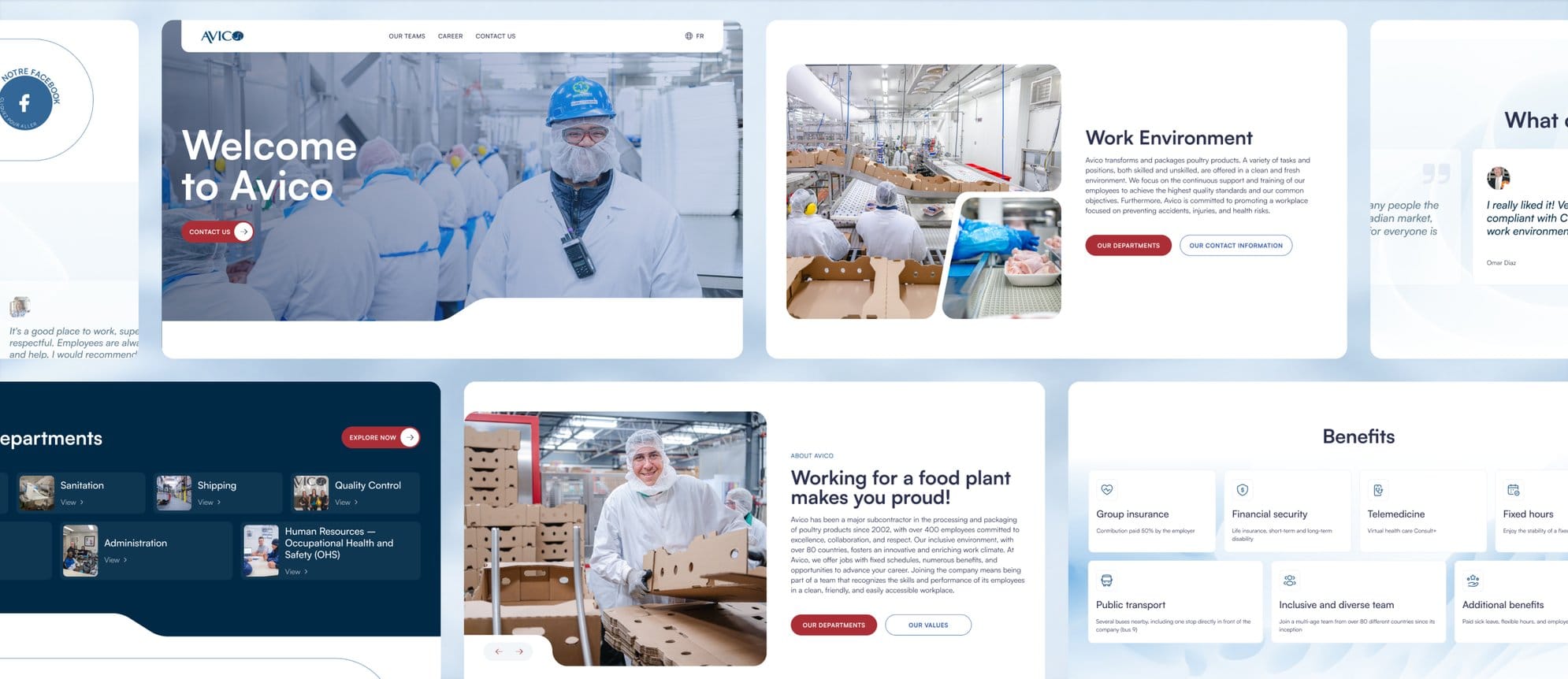 Avico website