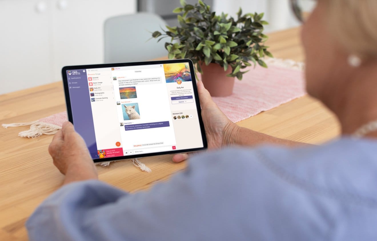 Réseau des personnes aînées de la diversité website