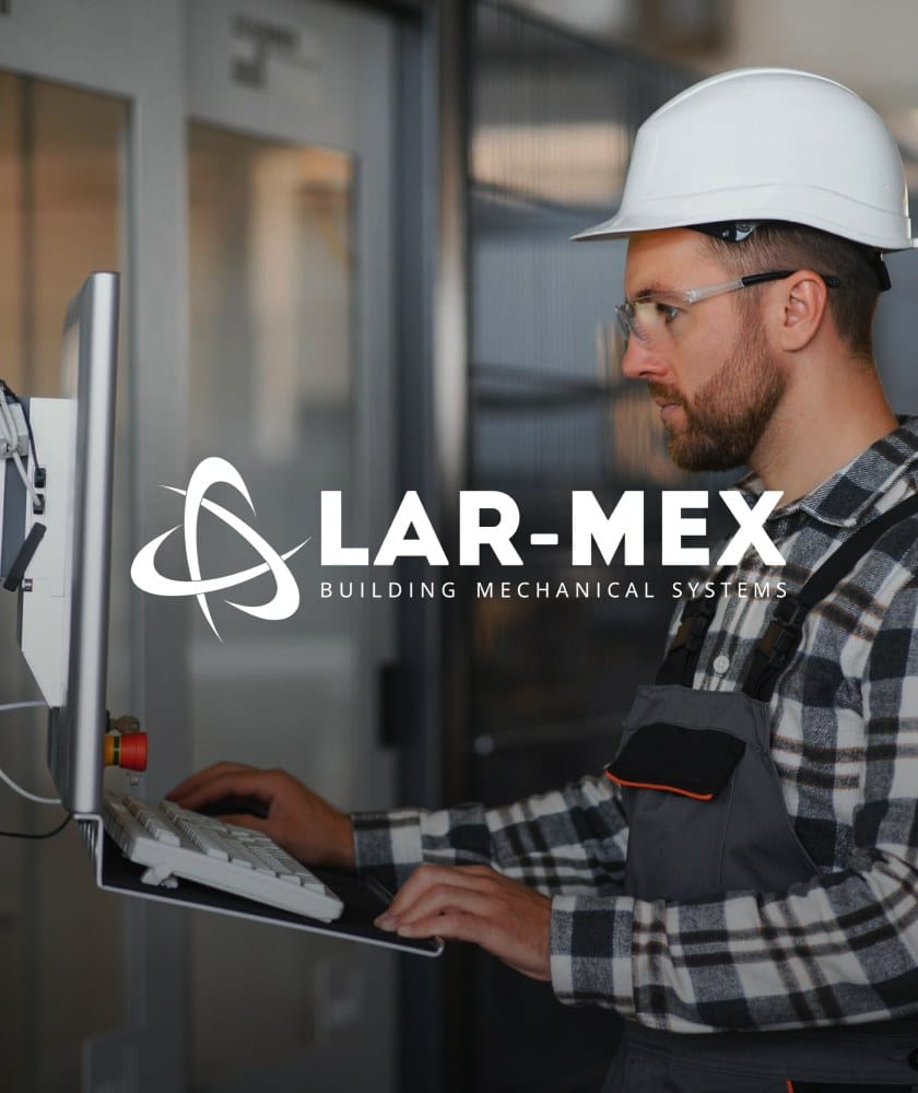 Preview of the Lar-Mex website