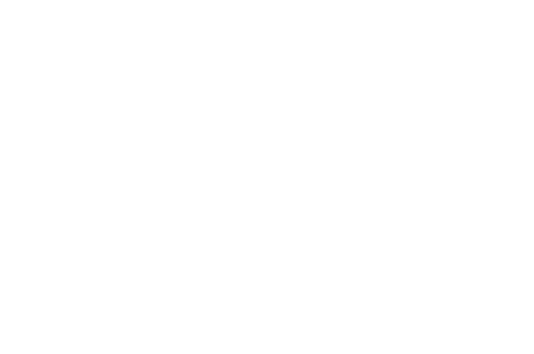 Logo PAFSO